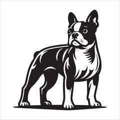 Boston Terrier dog, vector illustration, silhouette