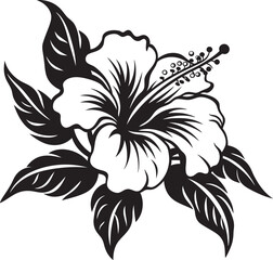 Hibiscus Floral Elegance Creative Icon Evolution Hibiscus Vector Art Minimal Graphic Structure