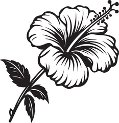 Exotic Hibiscus Symbolism Artistic Logo Design Hibiscus Floral Design Creative Icon Evolution