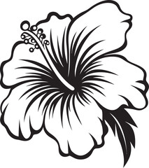 Hibiscus Floral Design Creative Icon Evolution Hibiscus Vector Illustration Minimal Graphic Structure