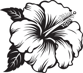 Botanical Hibiscus Art Artistic Floral Emblem Hibiscus Blossom Harmony Symbolic Design Element