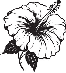 Colorful Hibiscus Oasis Natural Graphic Expression Hibiscus Emblem Design Abstract Floral Art