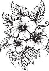 Hibiscus Floral Design Creative Evolution Vibrant Hibiscus Oasis Tranquil Development