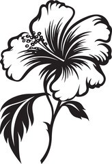 Hibiscus Bloom Iconic Tropical Elegance Tropical Hibiscus Elegance Iconic Floral Design Inspiration