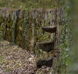Triple rocks jutting from rock wall