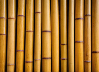Wooden bamboo textured background