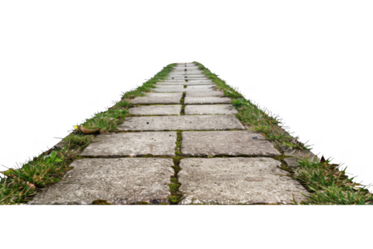 A long, narrow path with a grassy border