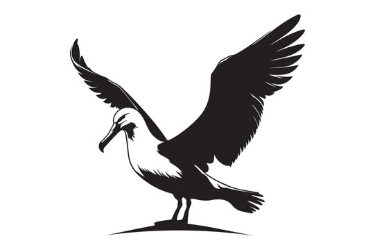 recommend clip art: Albatross silhouette vector illustration 