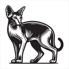 Oriental Shorthair Cat, vector illustration, silhouette