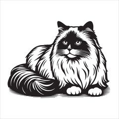 Ragdoll cat, vector illustration, silhouette