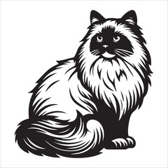 Ragdoll cat, vector illustration, silhouette