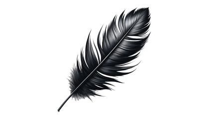 Fototapeta premium Black feather isolated on the transparent background.