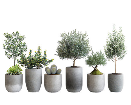 Assorted potted plants collection on white
