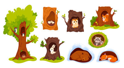 Animals inside hollows. Forest animal in hollow hole tree wood natural house or home burrow, cute woodpecker adorable fox squirrel bird nest © ssstocker