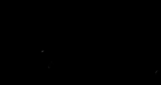 4K Dirt vintage film dust hair damage 35mm footage FREE noise overlay after effects premiere HD