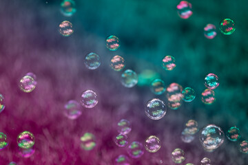 soap bubbles in the garden