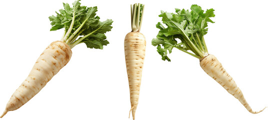 Parsnip isolated on transparent background, Parsnip png no background, vegetable ingredient food png