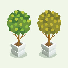 set of tree with leaves