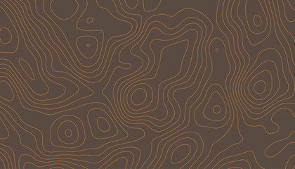 Topographic pattern texture on paper. Old topographic Map. Geographic topography vector illustration.