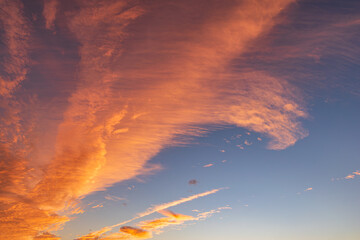 Fototapeta premium 巻く燃え空