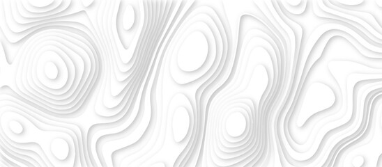 Abstract White paper cut background with lines.3d realistic papercut decoration textured with wavy layers. modern wallpaper texture and 3d realistic design use for banner flyers, posters.	