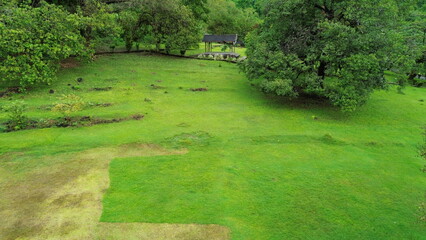Aerial view of a green park with tall trees around it