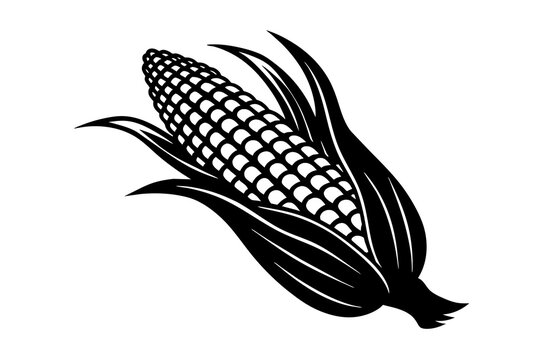 recommend clip art: corn silhouette vector illustration