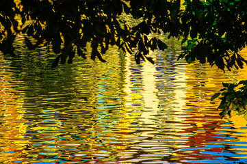 Under the closeup of dark tree leaves, in the background, colorful rippled abstract-like vertical reflections of Buildings on a pond, Brussels.