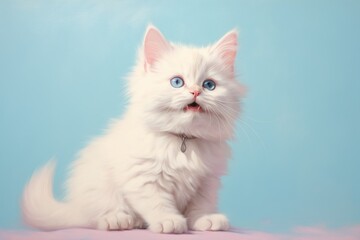 Portrait of a smiling munchkin cat on pastel or soft colors background