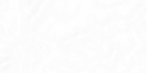 Light gray vector background, banner, imitation of a geographical map, contour lines