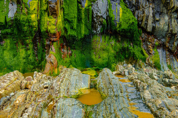 Gueirua Beach bright green moss covered rock wall and small water ponds 