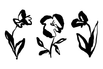 Hand drawn flowers set, cute quirky floral illustration, abstract botanical, vector line art