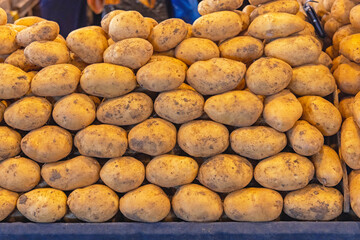 Large Pile of Big Potatoes at Farmers Market