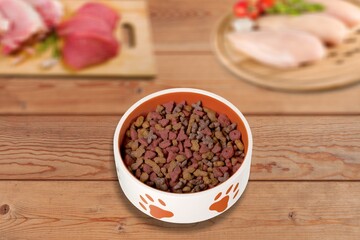 Bowl with tasty dry food for domestic pet