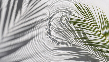 palm tree leaves