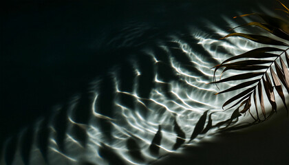 close up of a feather