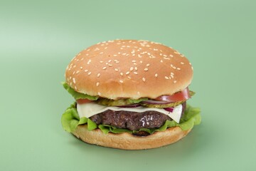 Burger with delicious patty on green background