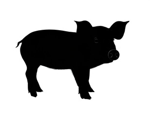 Fototapeta premium schwarze Silhouette Kontrast Ferkel icon isoliert auf weißen Hintergrund, Freisteller 