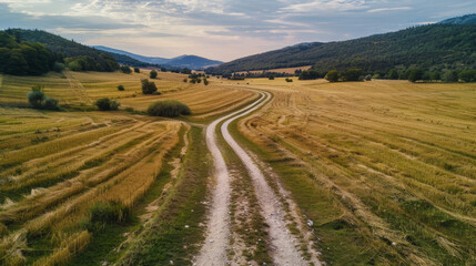 Obraz premium A road cuts through a field of tall grass