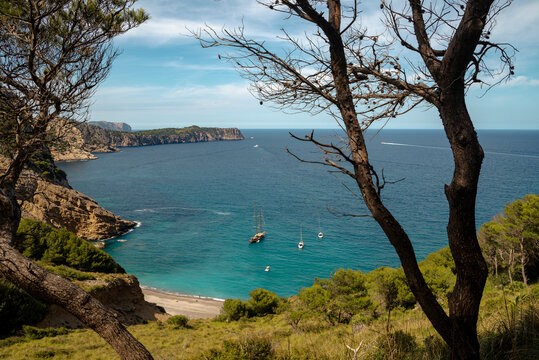 View through trees of Es Coll Baix beach, Alcudia, Majorca, Balearic Islands, Spain