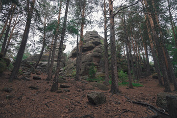 Taiga forest and rocks of the Stolby nature reserve park