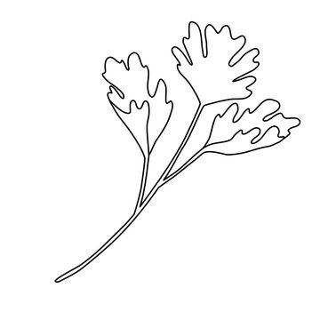 black line art parsley sprig clip art preview