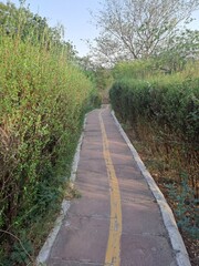 Path in the Taj Nature Walk in Agra, Uttar Pradesh, India