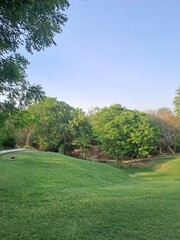 Beautiful view of Taj Nature Walk in Agra, Uttar Pradesh, India 