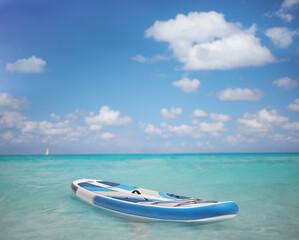 Paddle board SUP in the sea