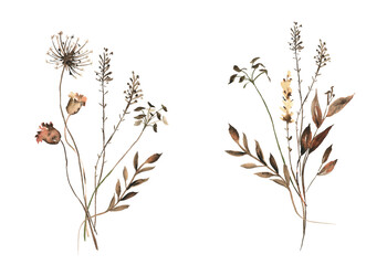 Watercolor painted floral dried bouquets. Brown dried wild flowers, branches, leaves. Cut out hand drawn PNG illustration on transparent background.