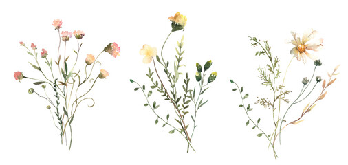 Watercolor Midsummer floral Bouquets collection with hand painted delicate leaves, wildflowers. Romantic floral arrangements perfect for wedding invitation. High quality PNG illustration.