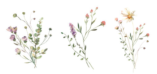 Watercolor Midsummer floral Bouquets collection with hand painted delicate leaves, wildflowers. Romantic floral arrangements perfect for wedding invitation. High quality PNG illustration.