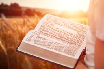 Open bible book in hands at wheat field