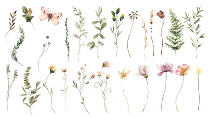 Watercolor Midsummer flowers collection with hand painted delicate leaves, flowers. Romantic floral arrangements perfect for wedding greeting cards, invitation. High quality PNG illustration.